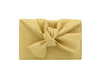 Tied Bow Design Evening Bag