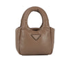 Petite Tote Fashion Handbag